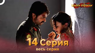 Цвета Страсти Индийский сериал 14 Серия | Русский Дубляж