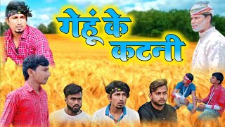 gehu ke katni/गेहूं के कटनी/mani Miraj/mani Miraj bhojpuri comedy vines#manimerajcomedy#comedyvideo