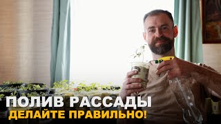 Живая вода для рассады.