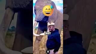 "Elephant Steals Hat – The Funniest Twist You’ll Ever See!"