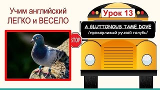 Английский для детей и начинающих. Видеотренажер. Тема: Ручной прожорливый голубь