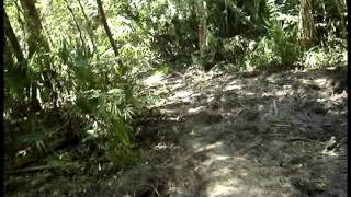 Park_Hike_12-2011.avi