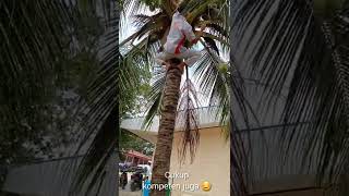 Praktek ekstra climbing coconut tree siswa TBSM Piaman