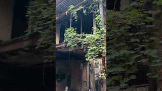 Sujan Singh Haveli #shorts #youtubeshorts #history