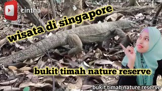 tempat wisata menarik di singapore||bukit timah nature reserve