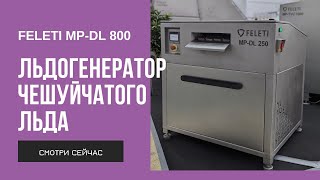 Льдогенератор чешуйчатого льда FELETI MP-DL 250 | Ice flake machine