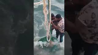 How they catch huge amount of fish on big fishing vessels and process them to frozen in deep ocean