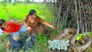 survival in the rainforest - Catch Snake egg in forest - Cooking soup gg for dog Eating delicious HD