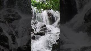 Idukki Private Hidden Falls | Munnar Memories #idukkiwaterfalls #munnar