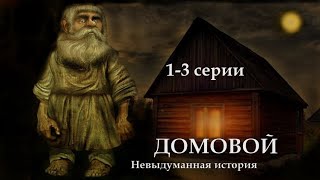 "ДОМОВОЙ" - Невыдуманная история. 1 - 3 серии. (Цикл ведьма Надежда 2 часть). МИСТИКА.