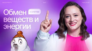 Обмен веществ и энергии в клетке | БИОпесочница | ЕГЭ-2025 по биологии