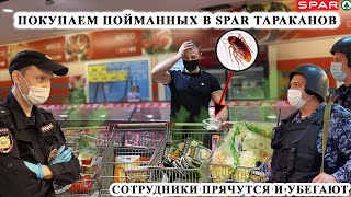 ПОКУПАЕМ ТАРАКАНОВ, ПОЙМАННЫХ В SPAR / МЕНТ НЕ ХОЧЕТ СЛУЖИТЬ / ПОЛИЦИЯ БЫКУЕТ И БРОСАЕТ ТРУБКУ, SPAR