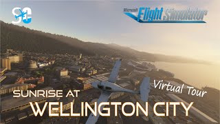 Explore Wellington City, New Zealand with Flight Simulator