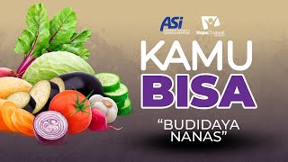 KAMU BISA "Budidaya Nanas" - Episode 24