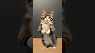 The Cutest AI Cat Dance of 2024: #Shorts #Cute #cat #meow #dance #cute #viral #foryoupage #shorts