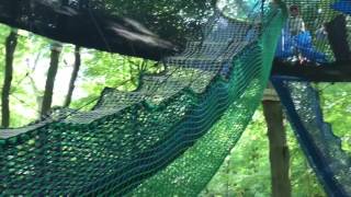 Treetop Nets Manchester Heaton Park