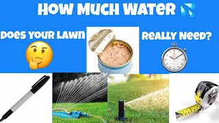 How much water does your lawn really need.