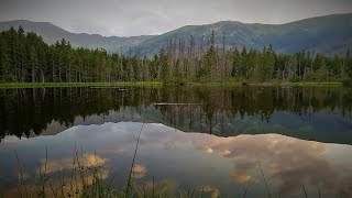 Tatry - Dolina Kościeliska - Smreczyński Staw