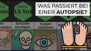 DAS passiert mit deinem Körper, nachdem du stirbst! 💀 | Wie läuft eine AUTOPSIE ab?