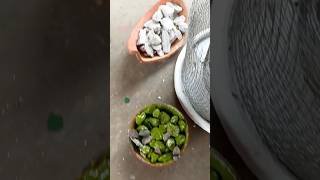 Amazing Pot Idea #shorts #ytshorts #gardening #nature #crafts #pots #diy #plants #flowers #garden