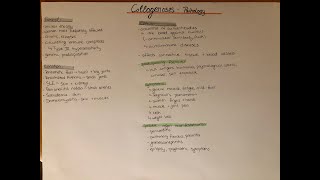 collagenoses - general characteristics