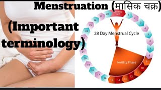 Menstruation (important terms menstrual cycle) #menstrualcycle #menstruation #svmedicourse