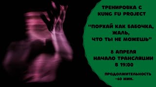 Тренируемся с Kung Fu Project "Порхай как бабочка, жаль.."🐝