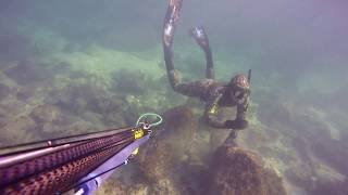 FIRST SPEARFISHING OF 2020