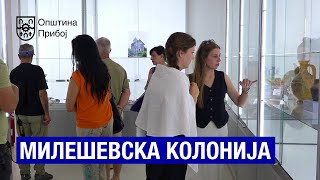 Учесници Милешевске колоније у посети Прибоју