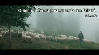 O Senhor é meu pastor: nada me faltará. (Salmo 22) DOMINGO XXXIV DO TEMPO COMUM - M. Luís