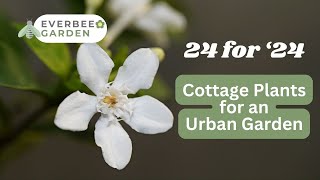 24 for '24 - Cottage Plants for an Urban Garden | EVERBEE GARDEN