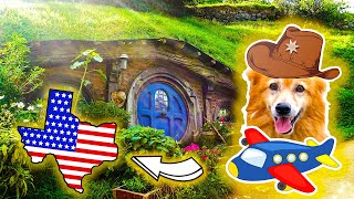 Perro visita HOBBITON y luego vuela a TEXAS!