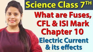 What are Fuses, CFL & ISI Mark - Chapter 10 - Electric Current & its effects - Science Class 7