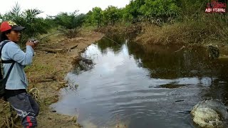 WOW,,,! Casting Toman,Gabus,Hampala Di Sisa Kebanjiran Saat Air Mulai Surut//Giant Snakehead/TOMAN