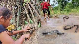 Girl catches 5 snakes, soup for food in the woods