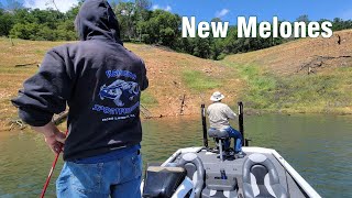 New Melones - Danny Yee Lester Yung 05/07/2023