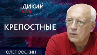 Крысы бегущие с корабля. Олег Соскин. Дикий LIVE.