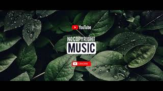 Free Music Myspace kimengumi No Copyright Music