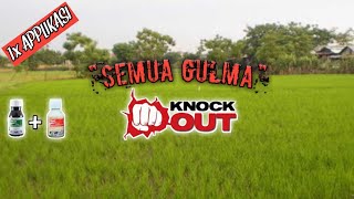 Pembasmi semua Jenis Gulma