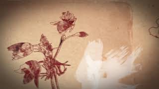 FREE Vintage Video Background | Free Looped Animation | Free Animated Footage |  Motion Graphics