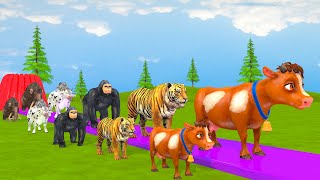 Paint & Animals Mammoth,Gorilla,Lion,Duck,Cow,Panda Fountain Crossing Transformation Animal Cartoon