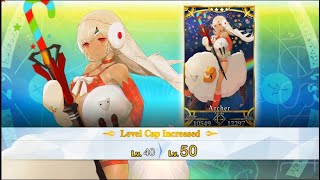 [FGO] Attila the San(ta) 1-80Lv (русские субтитры)