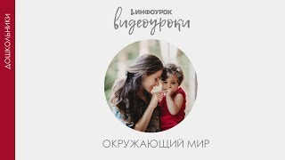 Город. Деревня | Дошкольники | Окружающий мир #3 | Инфоурок