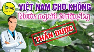 Nghịch lý 8 loại rau dại ở Việt Nam lại được săn lùng như thần dược ở nước ngoài