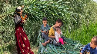 From Running Away to Rebuilding: Making a Canopy for Her Goats