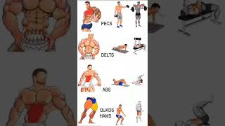 BEST EXERCISES FOR WORKOUT 💪#trending #viral #fitness