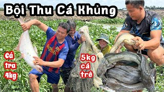 Cá Nhiều Khủng Hoảng • BỘI THU NGÀY BẮT CÁ CỦA GIA ĐÌNH CHỊ 3 VUI VẺ | Bông Lúa Đồng Tháp