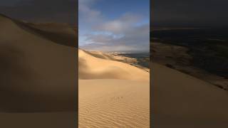 Where the desert meets the sea in Namibia 🇳🇦 #namibia #travel #desert