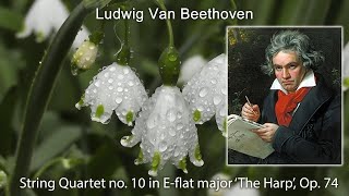 Beethoven  - String Quartet no  10 in E flat major 'The Harp', Op  74