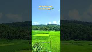 गांव माझे राजापुर 🏡🌴#kokan #shortsvideo  #viral #shortviral #shortfeed #rajapur #maharashtra